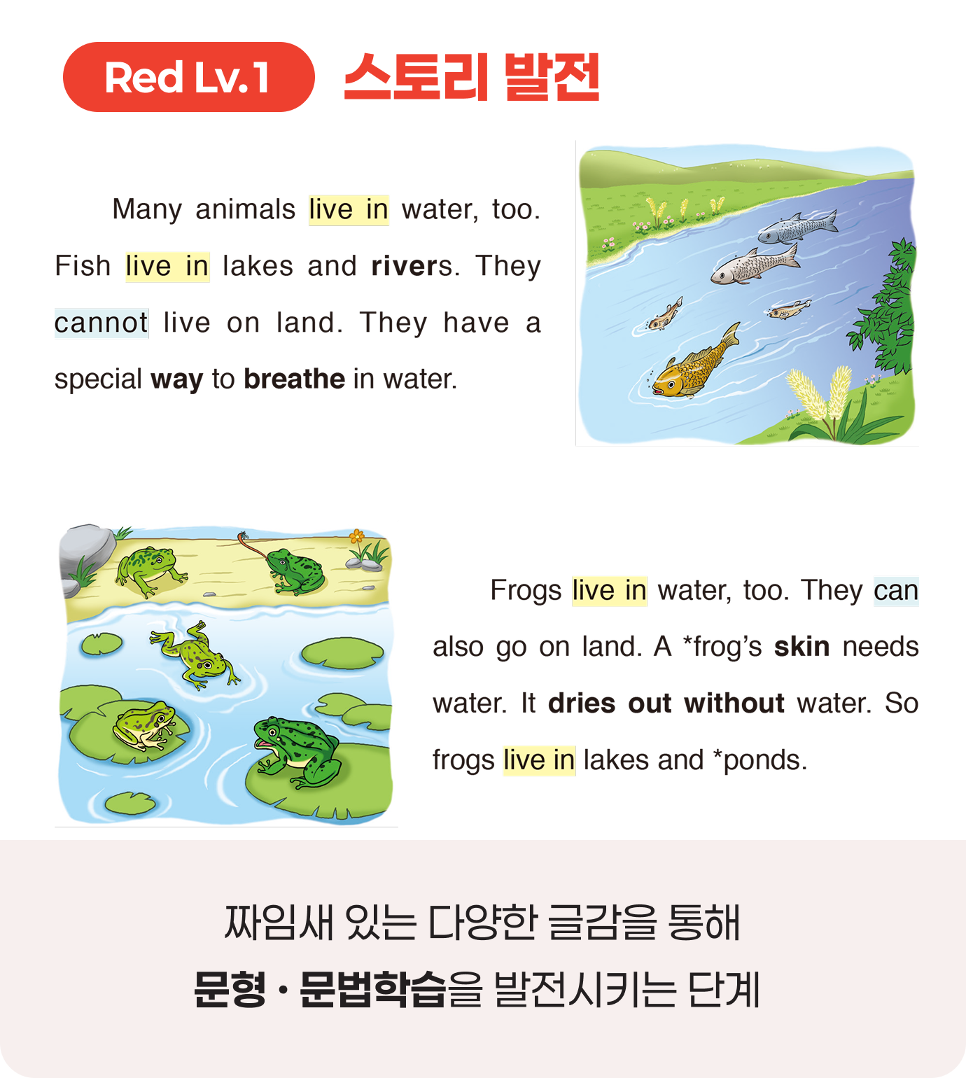 Red Lv.1 스토리 발전. 짜임새 있는 다양한 글감을 통해 문형과 문법학습을 발전시키는 단계입니다.