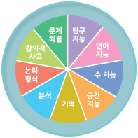 사고력의 전 영역을 다룹니다